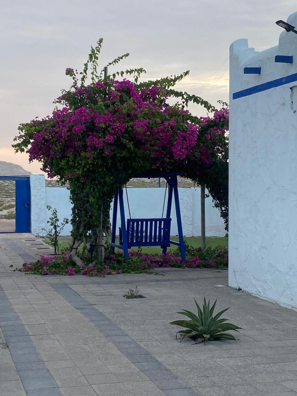 Al-Ashkhara Beach Resort منتجع شاطئ الأشخرة Al Sharqiyah Eksteriør billede