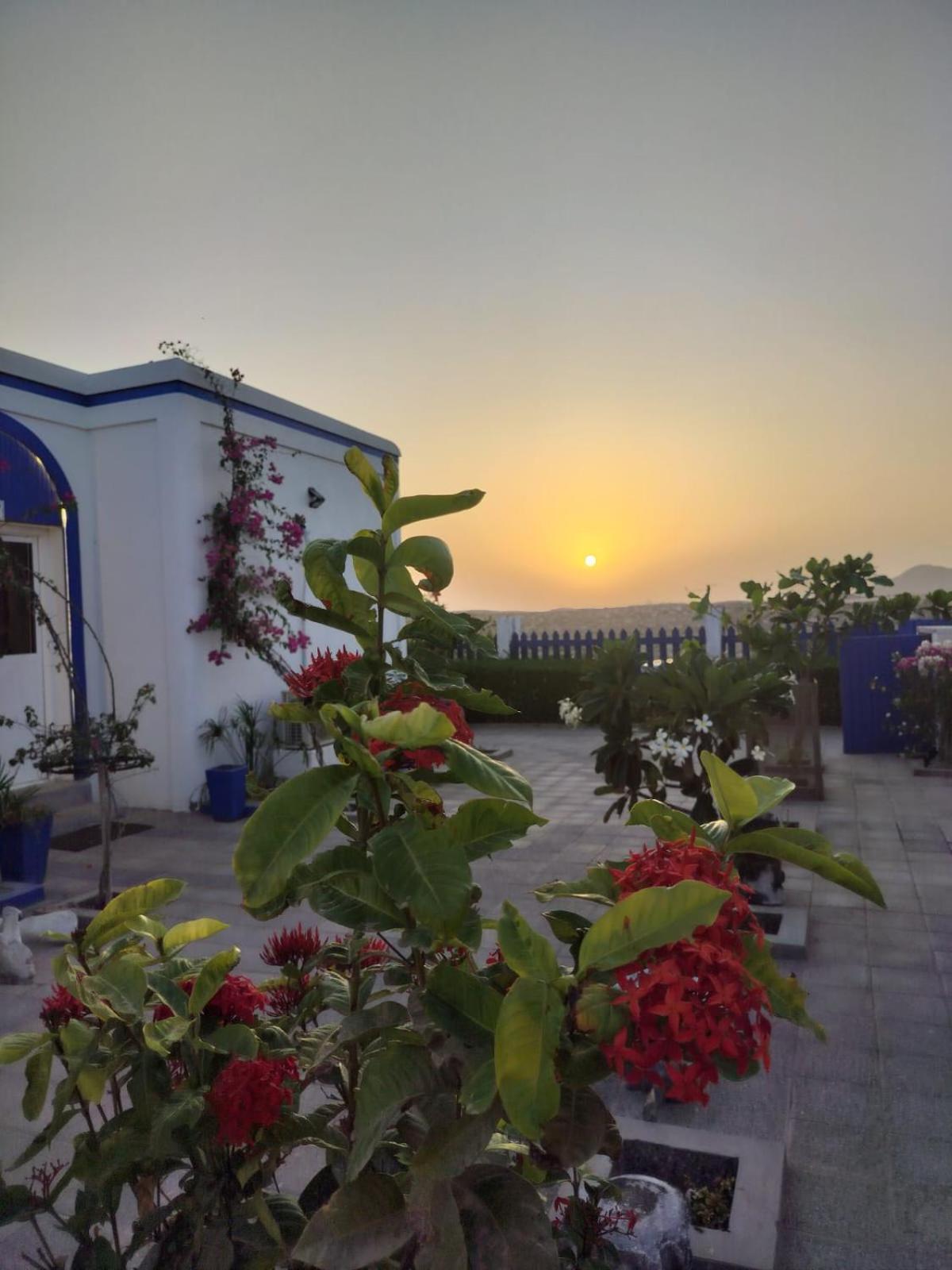 Al-Ashkhara Beach Resort منتجع شاطئ الأشخرة Al Sharqiyah Eksteriør billede