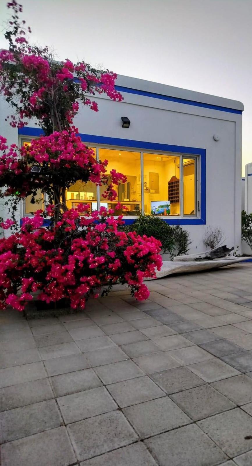 Al-Ashkhara Beach Resort منتجع شاطئ الأشخرة Al Sharqiyah Eksteriør billede